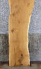 Thumbnail for White Oak Live Edge Rustic Bar/Headboard Wood Slab CLOSEOUT 4524
