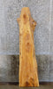 Thumbnail for Salvaged Live Edge Hackberry Sofa/Coffee Table Top Wood Slab 4530