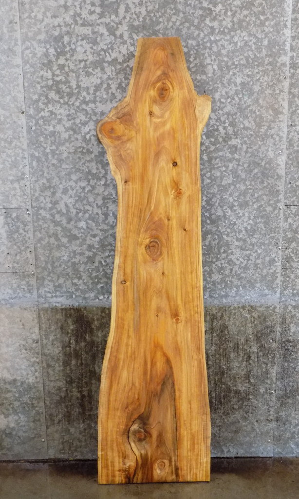 Salvaged Live Edge Hackberry Sofa/Coffee Table Top Wood Slab 4530