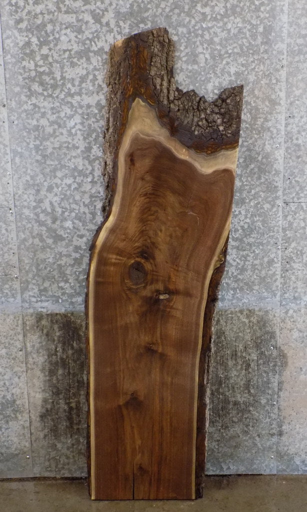 Black Walnut Rustic Partial Live Edge Coffee Table Top Slab 4558