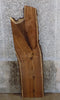 Thumbnail for Black Walnut Rustic Partial Live Edge Coffee Table Top Slab 4558