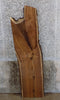 Thumbnail for Black Walnut Rustic Partial Live Edge Coffee Table Top Slab 4558