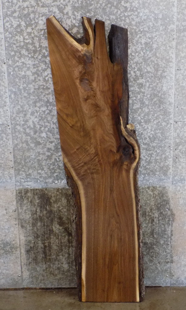 Partial Live Edge Rustic Black Walnut Coffee Table Top Slab 4564