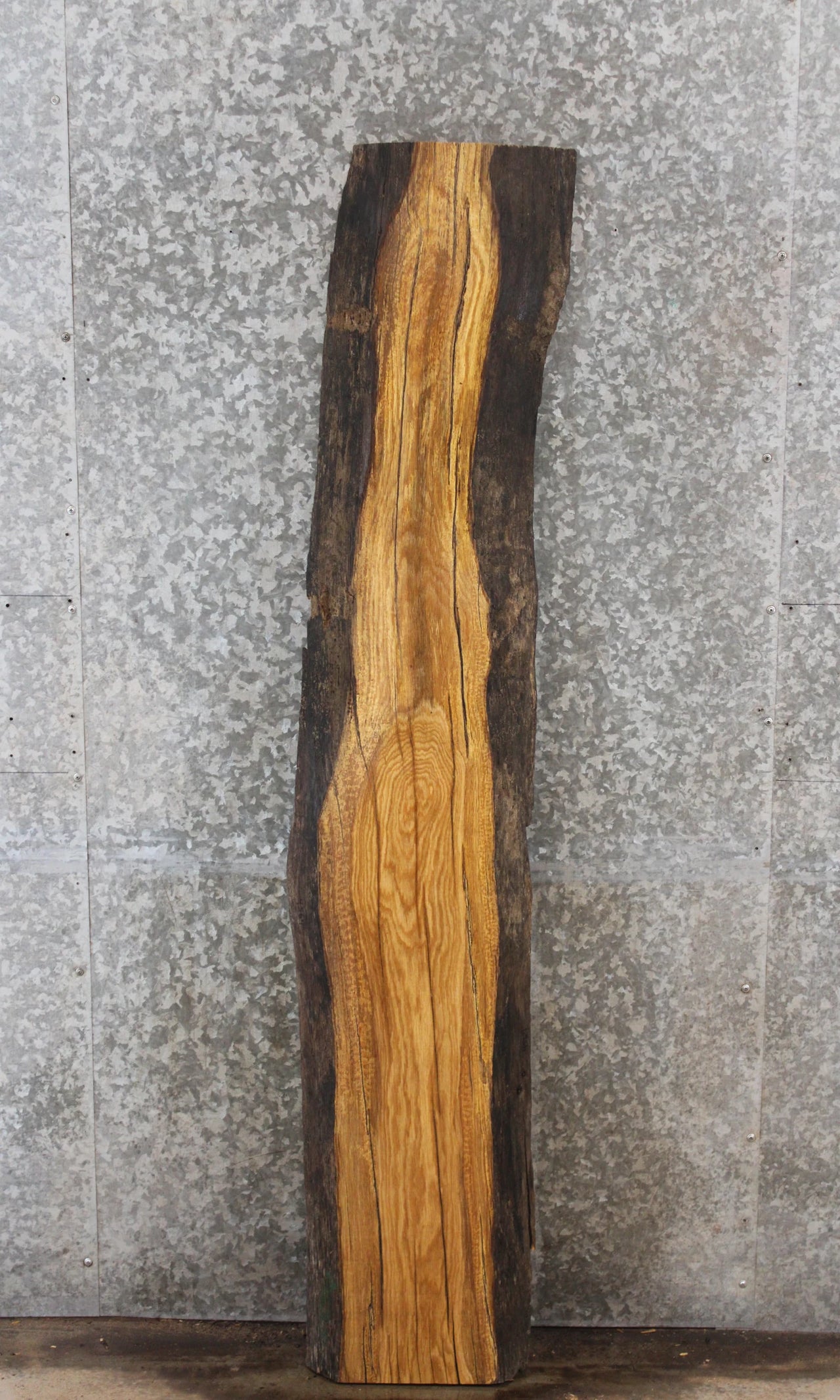 Rustic Live Edge Elm Wall Shelf Slab 4567