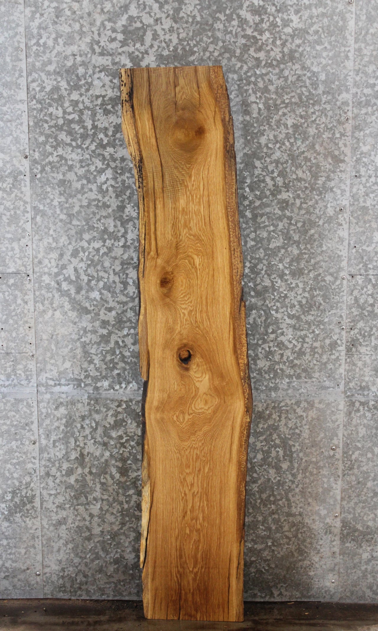 Rustic Live Edge Elm Wall Shelf Slab 4567