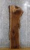 Thumbnail for Black Walnut Live Edge Rustic Coffee/Sofa Table Top Slab 4568