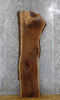 Thumbnail for Black Walnut Live Edge Rustic Coffee/Sofa Table Top Slab 4568