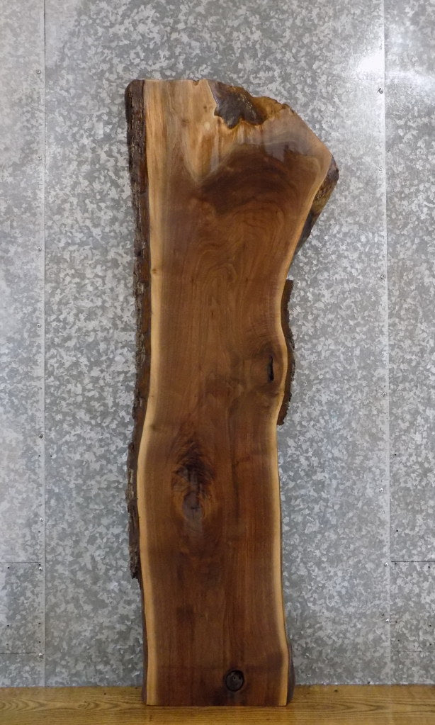 Black Walnut Live Edge Rustic Coffee/Sofa Table Top Slab 4568
