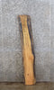 Thumbnail for Live Edge Red Oak Wall Shelf/Mantle/Accent Table Top Slab 4573