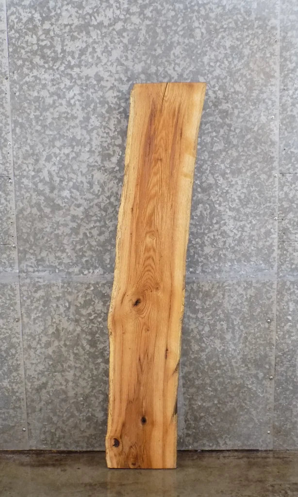 Live Edge Red Oak Wall Shelf/Mantle/Accent Table Top Slab 4573