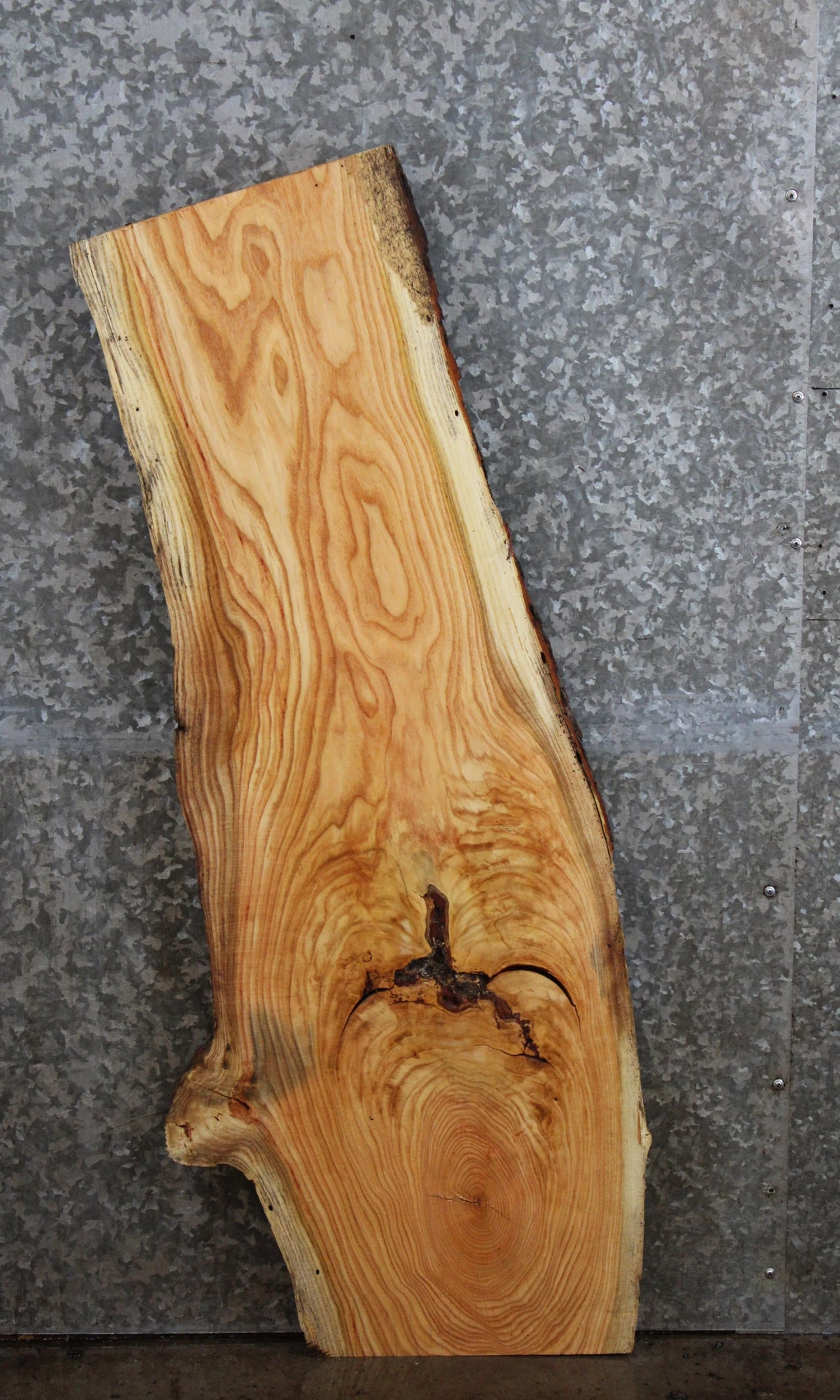 Locust Live Edge Coffee Table Top/Mantel Shelf 4575