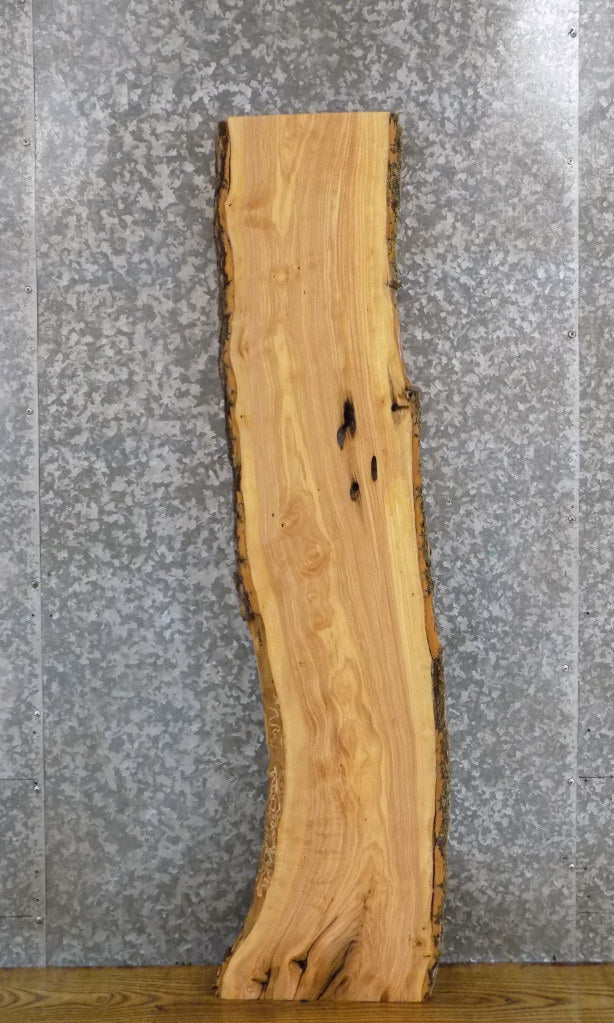 Salvaged Natural Edge Ash Side/Coffee Table Top Slab 4587