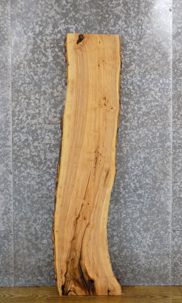 Salvaged Natural Edge Ash Side/Coffee Table Top Slab 4587