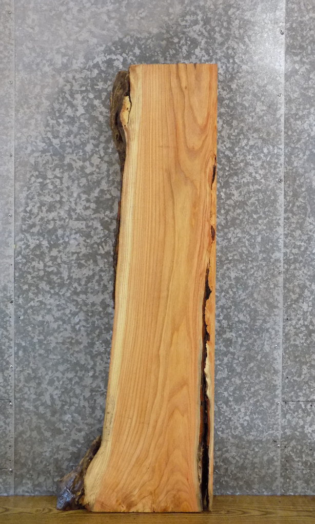 Partial Live Edge Rustic Locust Coffee/Sofa Table Top Slab 458