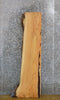 Thumbnail for Partial Live Edge Rustic Locust Coffee/Sofa Table Top Slab 458