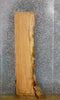 Thumbnail for Partial Live Edge Rustic Locust Coffee/Sofa Table Top Slab 458