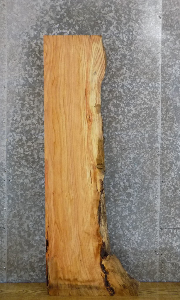 Partial Live Edge Rustic Locust Coffee/Sofa Table Top Slab 458