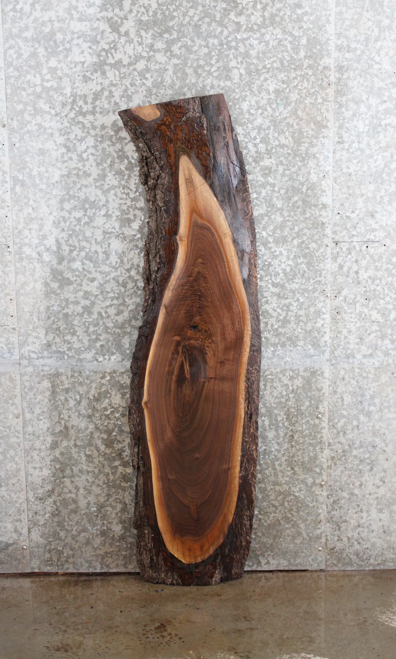Black Walnut Live Edge Side Table Top/Wall Shelf 4604