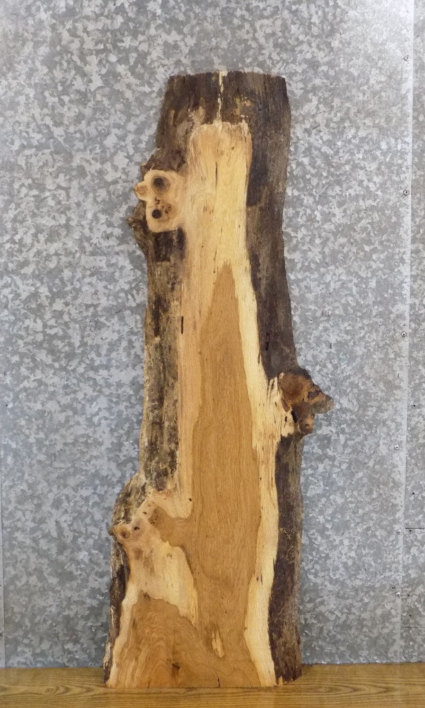 Rustic Live Edge White Oak Coffee/Side Table Top Slab 461