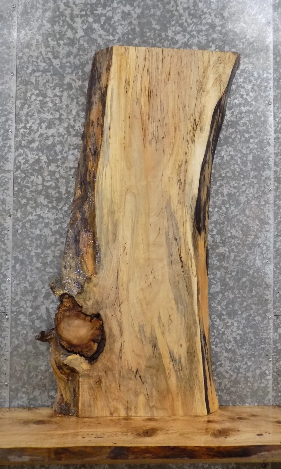 Live Edge Spalted Maple Book Shelf/Accent/Coffee Table Slab 463