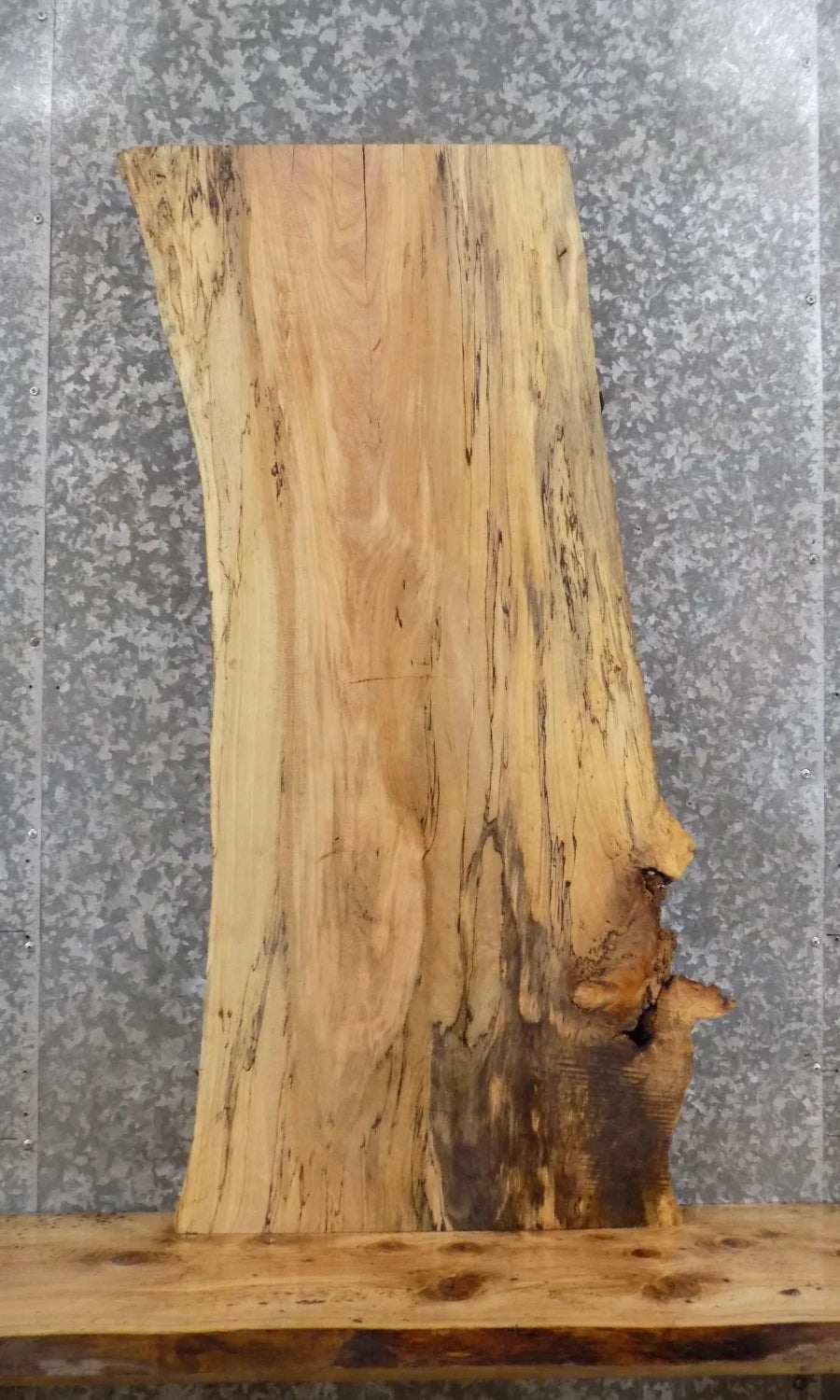 Live Edge Spalted Maple Book Shelf/Accent/Coffee Table Slab 463
