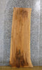 Thumbnail for Ash Live Edge Sofa/Coffee Table Top Wood Slab 4641