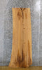 Thumbnail for Ash Live Edge Sofa/Coffee Table Top Wood Slab 4641
