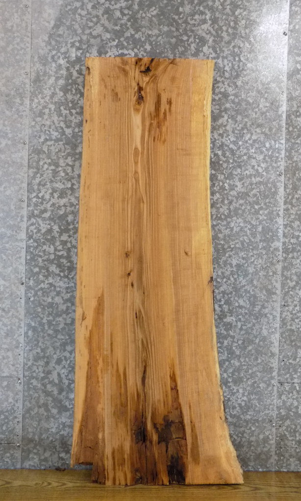 Reclaimed Live Edge Sofa/Coffee Table Top Ash Wood Slab 4642