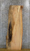 Thumbnail for Rustic Live Edge Spalted Maple Coffee/Sofa Table Top Slab 4644