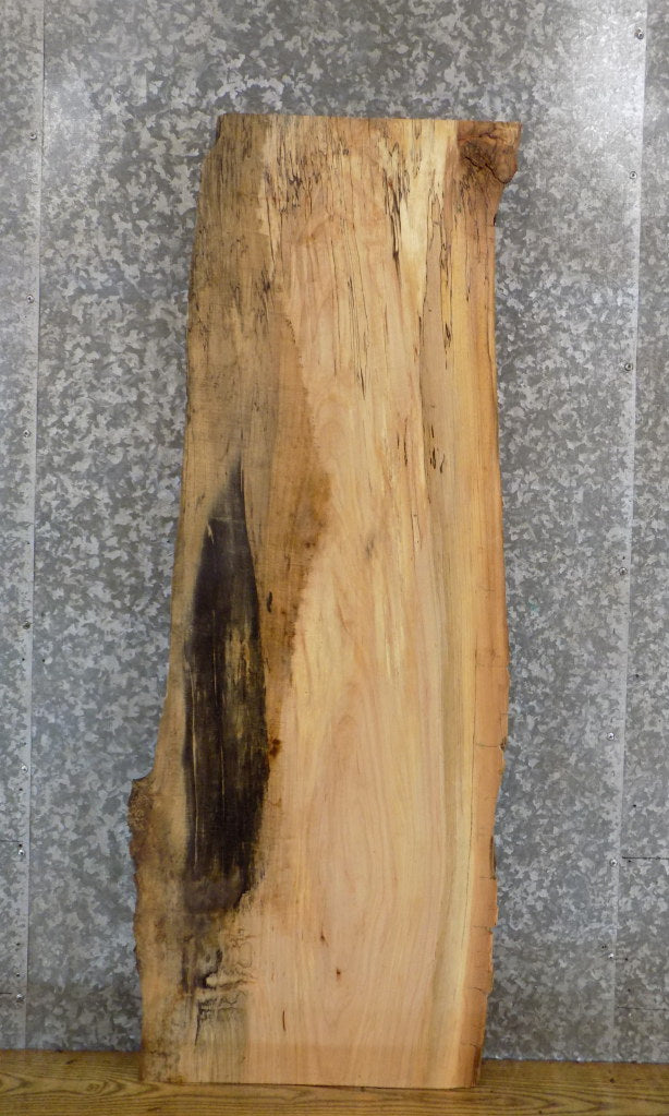 Rustic Live Edge Spalted Maple Coffee/Sofa Table Top Slab 4644