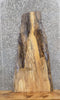 Thumbnail for Live Edge Spalted Maple End/Accent/Coffee Table Top Slab 4661