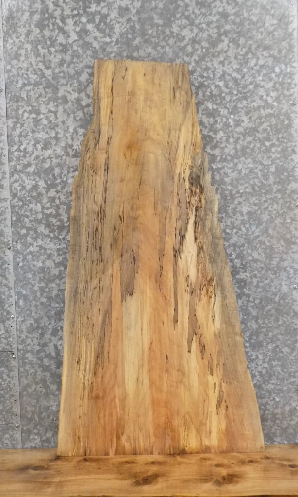 Live Edge Spalted Maple End/Accent/Coffee Table Top Slab 4661