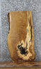 Thumbnail for Live Edge White Oak Wood Slab, End Table Top, Charcuterie Slab 4667
