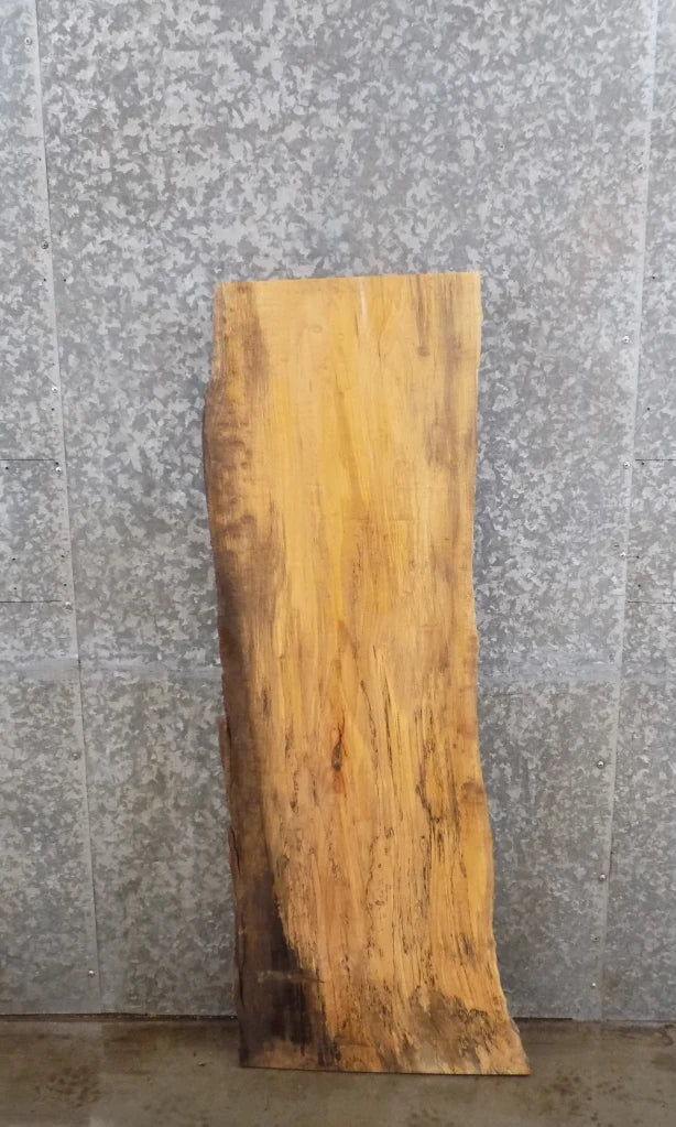 Live Edge Spalted Maple Coffee/Accent Table Top/Mantle Slab 4695