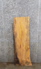 Thumbnail for Live Edge Spalted Maple Coffee/Accent Table Top/Mantle Slab 4695
