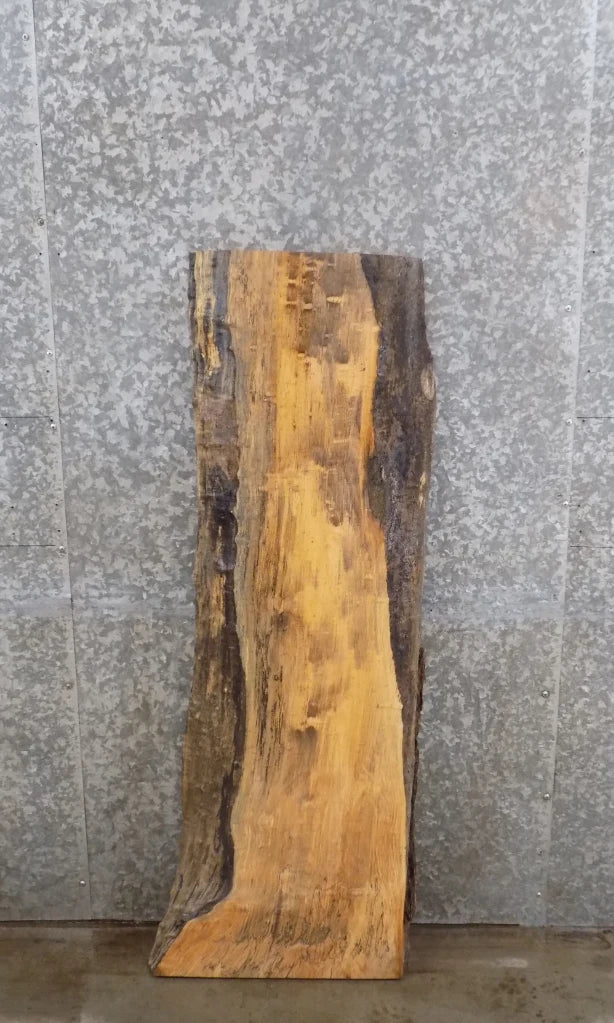 Live Edge Spalted Maple Coffee/Accent Table Top/Mantle Slab 4695