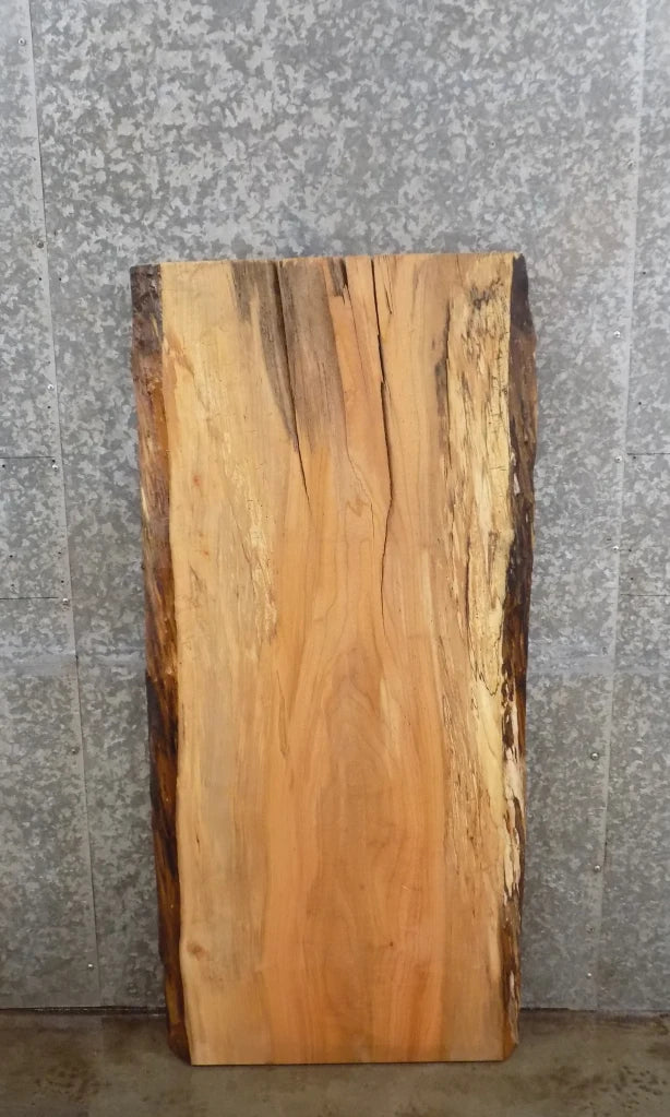 Live Edge Spalted Maple Accent/End/Coffee Table Top Slab 4697