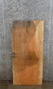 Thumbnail for Live Edge Spalted Maple Accent/End/Coffee Table Top Slab 4697
