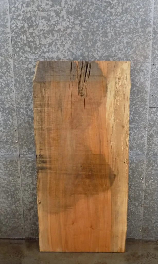 Live Edge Spalted Maple Accent/End/Coffee Table Top Slab 4697