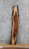 Thumbnail for Walnut Live Edge Taxidermy Slab 469