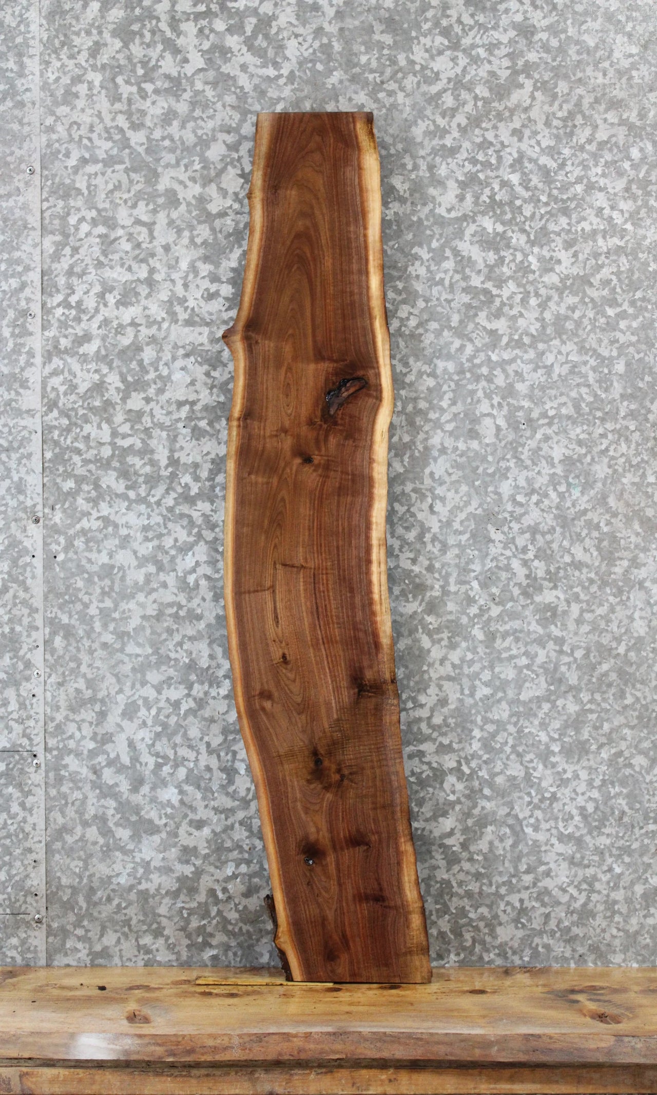 Walnut Live Edge Taxidermy Slab 469