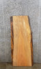 Thumbnail for Live Edge Spalted Maple Coffee/End/Accent Table Top Slab 4700