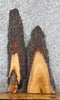 Thumbnail for 2- Live Edge Cherry Charcuterie Boards/Taxidermy Mounts 4701-4702