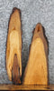 Thumbnail for 2- Live Edge Cherry Charcuterie Boards/Taxidermy Mounts 4701-4702