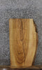 Thumbnail for Live Edge Ash Coffee/Side Table Top 4709