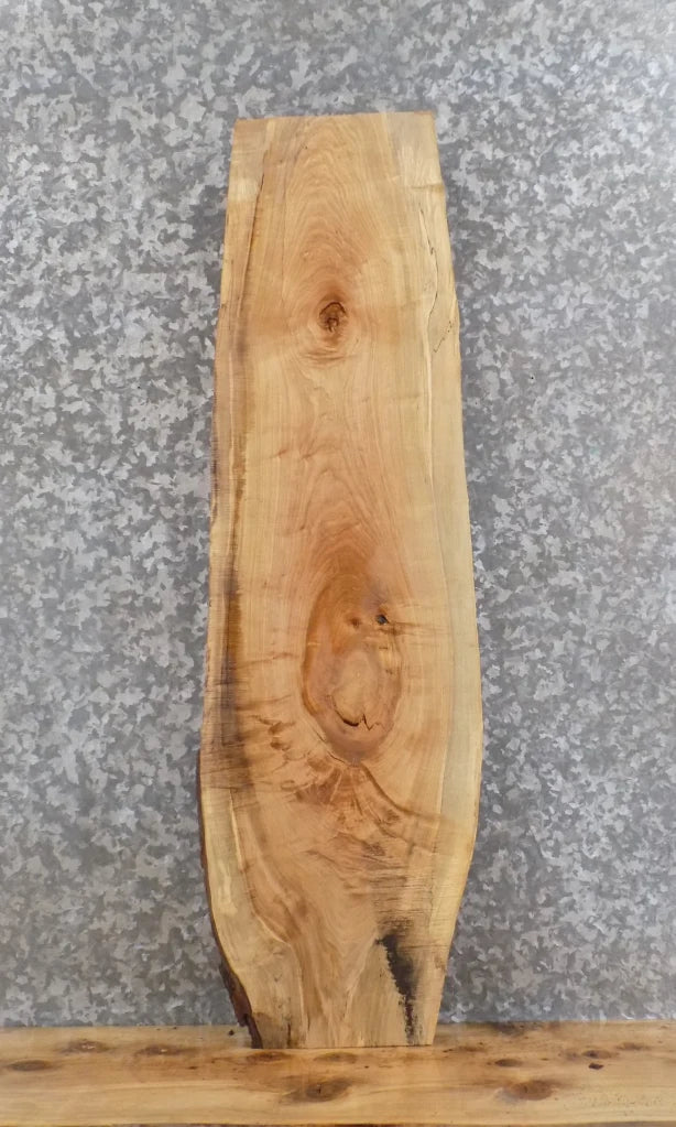 Live Edge Maple Mantle/End/Accent Table Top Slab 4710