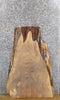 Thumbnail for Rustic Live Edge Maple Side/End/Entry Table Top Wood Slab 4714