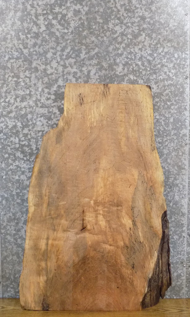 Rustic Live Edge Maple Side/End/Entry Table Top Wood Slab 4714