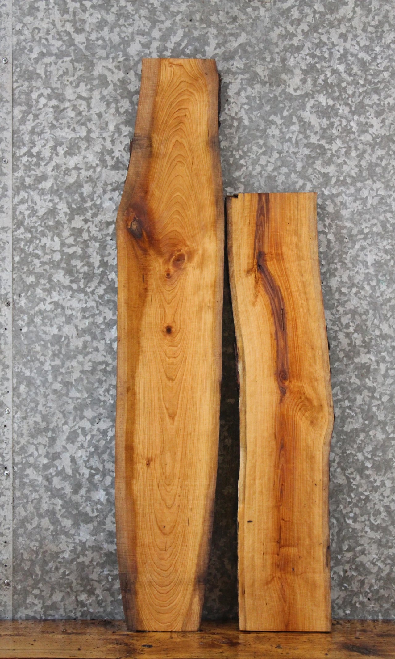 2- Live Edge Sycamore Charcuterie Board/Taxidermy Mount Slabs 4734-4735