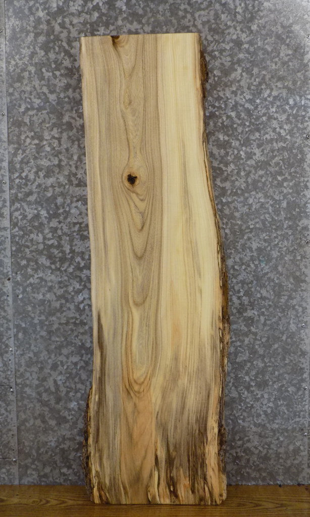 Natural Edge Salvaged Hackberry Accent/Sofa Table Top Slab 474